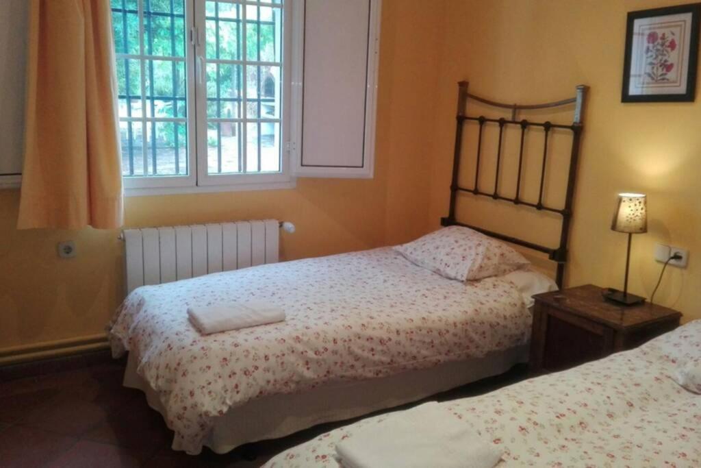 Casa Rural La Vega 查兹拉德拉谢拉 外观 照片