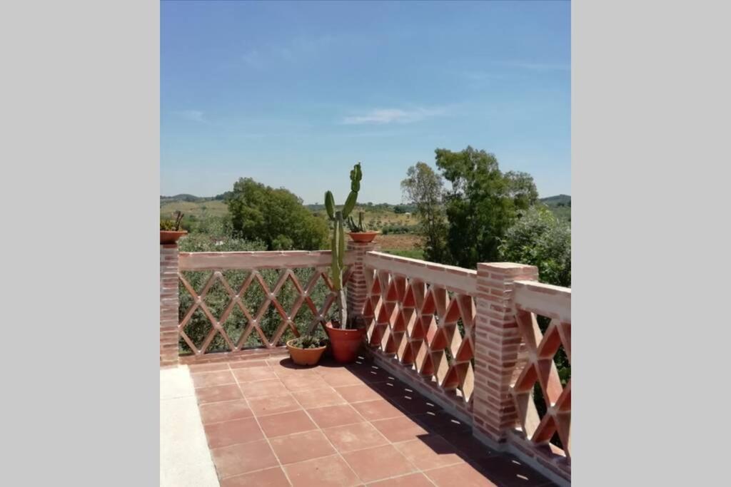 Casa Rural La Vega 查兹拉德拉谢拉 外观 照片