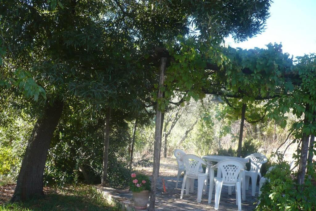 Casa Rural La Vega 查兹拉德拉谢拉 外观 照片