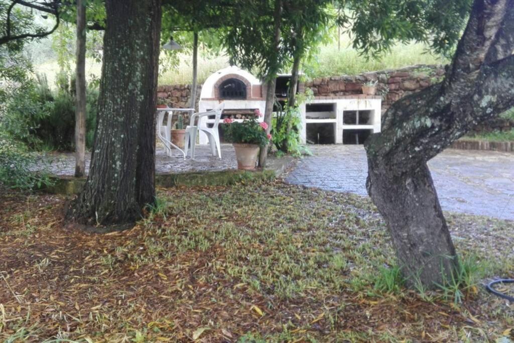 Casa Rural La Vega 查兹拉德拉谢拉 外观 照片
