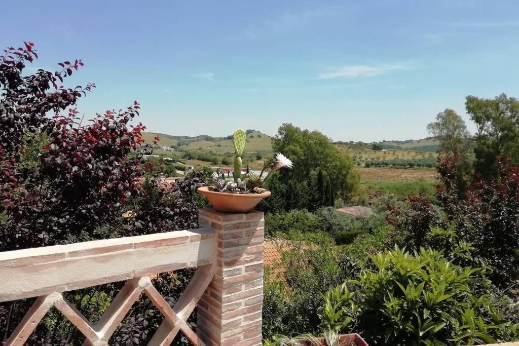 Casa Rural La Vega 查兹拉德拉谢拉 外观 照片