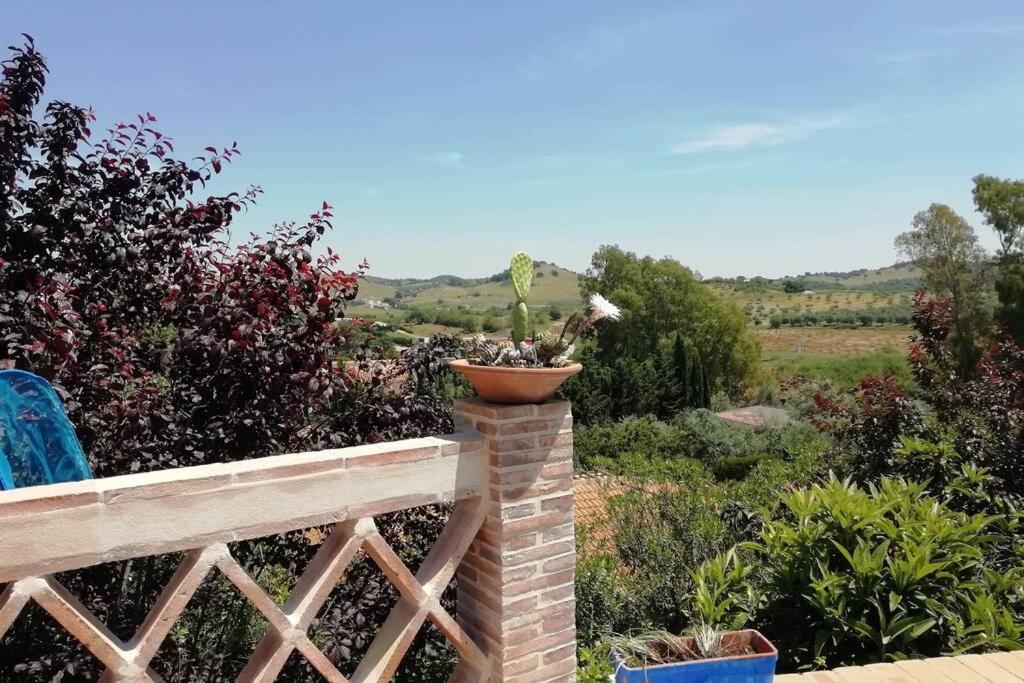 Casa Rural La Vega 查兹拉德拉谢拉 外观 照片